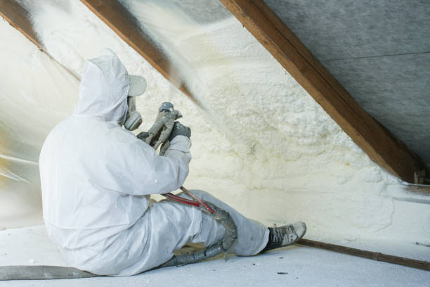 Best Attic Insulation Installation  in Carlinvle, IL